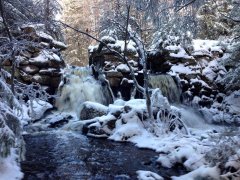 Sågbäcken (Vinter)